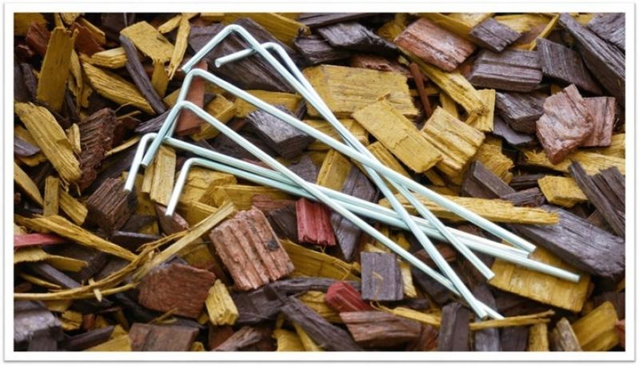 Gradina cu efect de sera, tunel de legume, folie de rosii, alb 200 x 77 x 168/146 cm - imagine 7