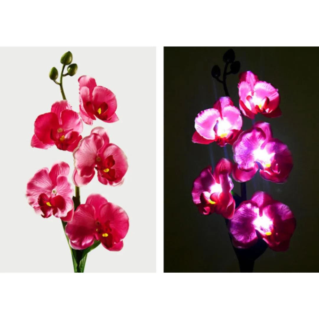 Set 2 Lampi Solare Decorative Tip Orhidee Rosie– Iluminare LED, Design Elegant si Functionare Automata - imagine 3