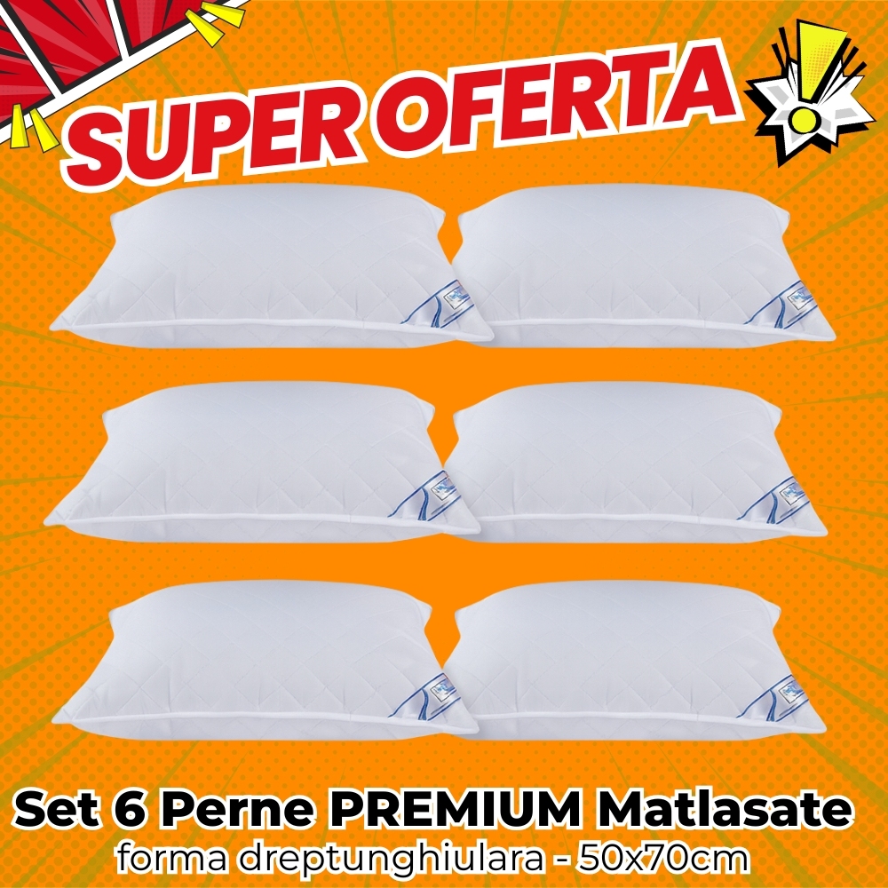 SUPER OFERTA Set 6 perne PREMIUM, Matlasate, dreptunghiulare 50x70cm, Fabricate in Romania
