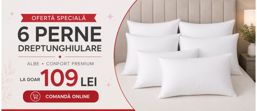 oferta set 6 perne