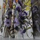 Draperie Satinata imprimata - LA COMANDA pe dimensiunile tale, flori mov