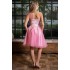 Rochie cu corset si tulle, Roz, Alisa [5]