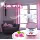 Spray Odorizant de Camera Eyfel Trandafir, 500ml