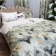 Set Lenjerie Pat Dublu Crăciun 4 Piese + 2 Draperii 150x235cm din Bumbac Ranforsat – Confort și Eleganță, Fabricat în România, Bej, Alb, reni