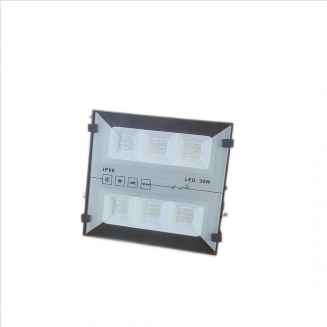 Proiector LED, Rezistent La Apa IP66, Lumina Rece 6000K, 220V, 30W