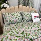 Set Lenjerie Pat Dublu Crăciun 4 Piese + 2 Draperii 150x235cm din Bumbac Ranforsat – Confort și Eleganță, Fabricat în România, Gri, Verde, crenguțe de brad, vasc