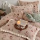 Lenjerie pentru pat dublu, Extra Catifelată, Catifea Polar cu VoLaNaSe, 4 piese, Roz prafuit, flori