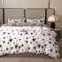 Lenjerie pat dublu, Super Pufoasa COCOLINO, 4 piese, Alb, Gri, stelute [8]