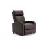 Fotoliu Recliner Premium, Confort Maxim, Design Elegant, Maro [7]