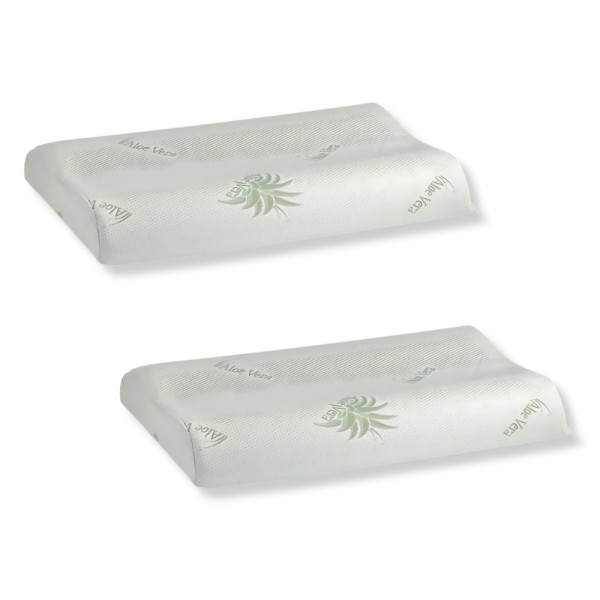 Set 2 Perne din spuma cu memorie, 40x60cm, husa tricot natur cu fermoar, Aloe Vera [1]