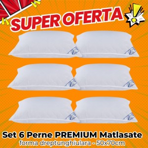 SUPER OFERTA Set 6 perne PREMIUM, Matlasate, dreptunghiulare 50x70cm, Fabricate in Romania SUPER OFERTA Set 6 perne PREMIUM, Matlasate, dreptunghiulare 50x70cm, Fabricate in Romania