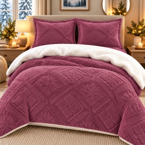 Lenjerie de Pat Dublu, CoCoLiNo Ultra Pufoasă, cu Blanita Sherpa Alba, 4 piese, Cearșaf cu ELASTIC, Model Traditional 3D, Roz inchis Lenjerie de Pat Dublu, CoCoLiNo Ultra Pufoasă, cu Blanita Sherpa Alba, 4 piese, Cearșaf cu ELASTIC, Model Traditional 3D, Roz inchis