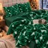 Lenjerie Deluxe, 4 Piese, Blăniță Shorthair și CoCoLiNo, cu Elastic Perimetral, Alb, Verde, degrade [2]