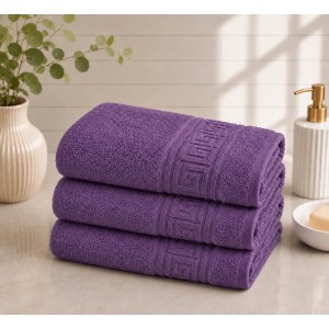 Set 3 prosoape mari, Greek Border, 70x130cm, din 100% bumbac pakistanez,  500g, Mov