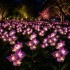 Set 2 Lămpi Solare Decorative Tip Orhidee – Iluminare LED, Design Elegant și Funcționare Automată [2]