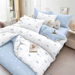 Lenjerie pat dublu, cearsaf clasic, 4 piese, Alb Bleu, fundite