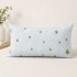 Set 2 Perne din spuma cu memorie si husa cu fermoar Aloe Vera, 42x72cm, forma clasica [3]