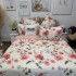Lenjerie pat dublu, Finet, 6 piese, Alb, Roz, flori [6]