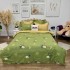 Lenjerie pat dublu,  FINET, 6 piese, Jojo Home, Verde, Albinute [2]