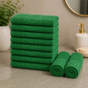 Set 10 prosoape mici, Greek Border, 30x50cm, din 100% bumbac pakistanez,  500g, Verde