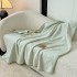 Patura Premium Tip Casmir cu Capsa 100x140 cm - Menta [2]
