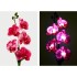 Set 2 Lămpi Solare Decorative Tip Orhidee Rosie– Iluminare LED, Design Elegant și Funcționare Automată [3]