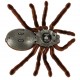 TARANTULA spider cu telecomanda + PILOT