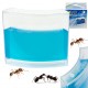Acvariu cu gel pentru furnici