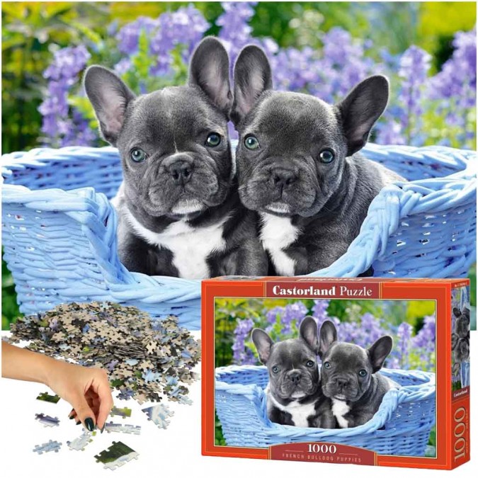 Puzzle 1000 elemente Catelusi Bulldog Francez 68x47cm