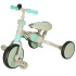 Tricicleta gri-verde [7]