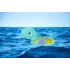 Colac de înot gonflabil Turtle 3-6 ani 30kg [10]