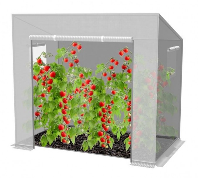 Grădină cu efect de seră, tunel de legume, folie de roșii, alb 200 x 77 x 168/146 cm