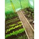 Sere de grădină ,Tunel  verde 300 x 200 x 200 cm