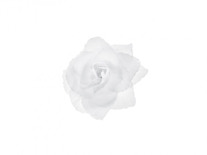 Roses self-adhesive white 9cm (Set 24 bucati)