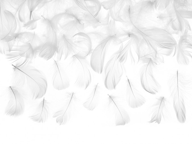 Decorative feathers white 3g