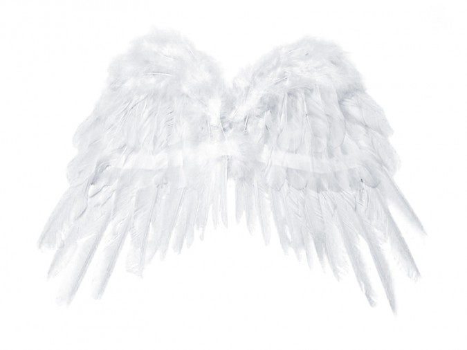 Angel\'s wings white 53 x 37cm