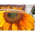 Lenjerie pat dublu,  IMPRIMEU 3D DIGITAL, IDENTIC CU POZA, Galben, floarea soarelui [8]