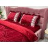 Lenjerie pat dublu, Catifea Deluxe, cu pliuri brodate, 4 piese, Jojo Home, Rosu [6]