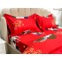 Lenjerie pat dublu, bumbac satinat, cearsaf clasic, 4 piese,  Rosu, indragostiti [5]