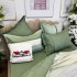 Lenjerie pat dublu,  FINET, cu elastic, 6 piese, Verde, Dungi [6]